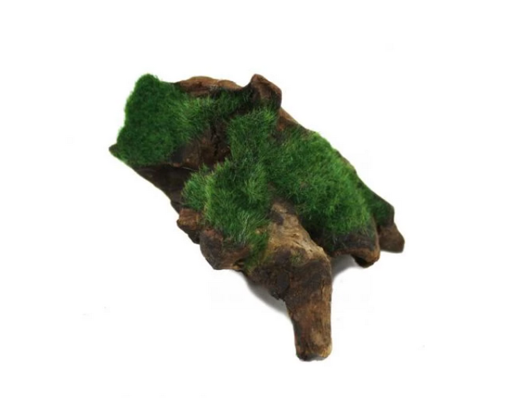 Hugo Kamishi Deco Aquascape Greenery 10-14cm